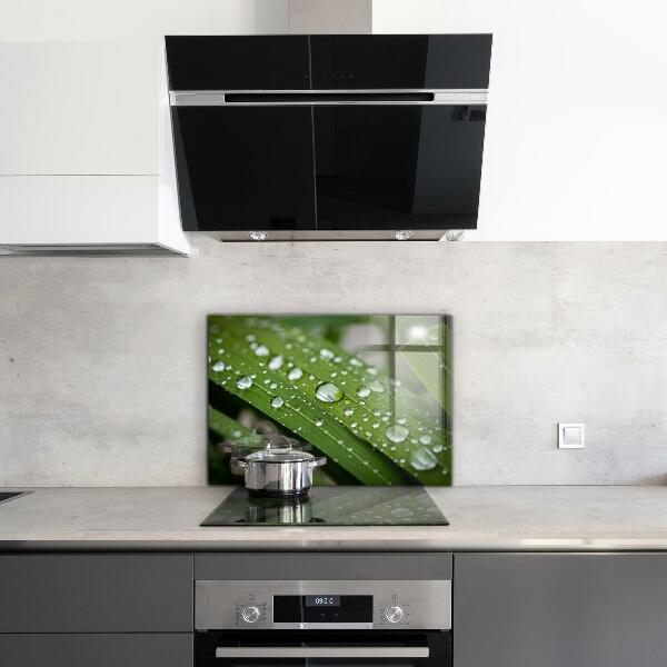 Küchenrückwand Spritzschutz Tautropfen auf dem Gras