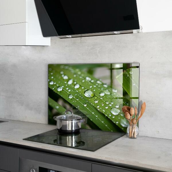 Küchenrückwand Spritzschutz Tautropfen auf dem Gras