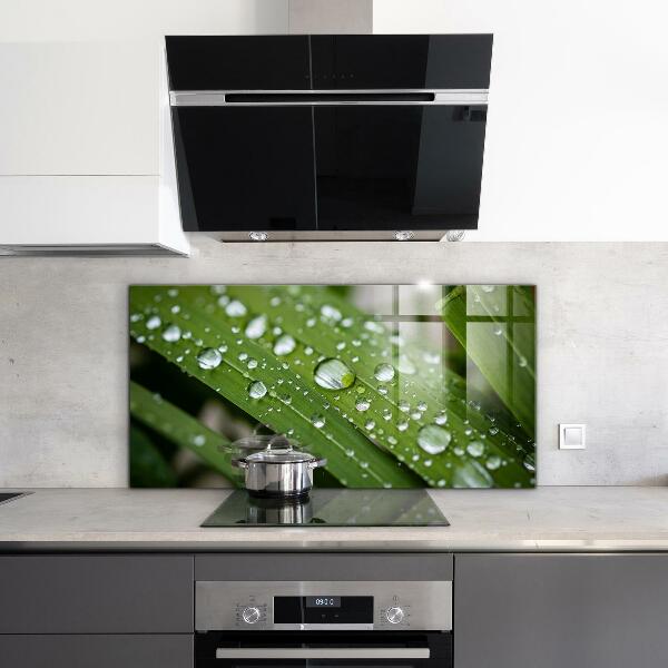 Küchenrückwand Spritzschutz Tautropfen auf dem Gras
