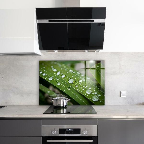 Küchenrückwand Spritzschutz Tautropfen auf dem Gras