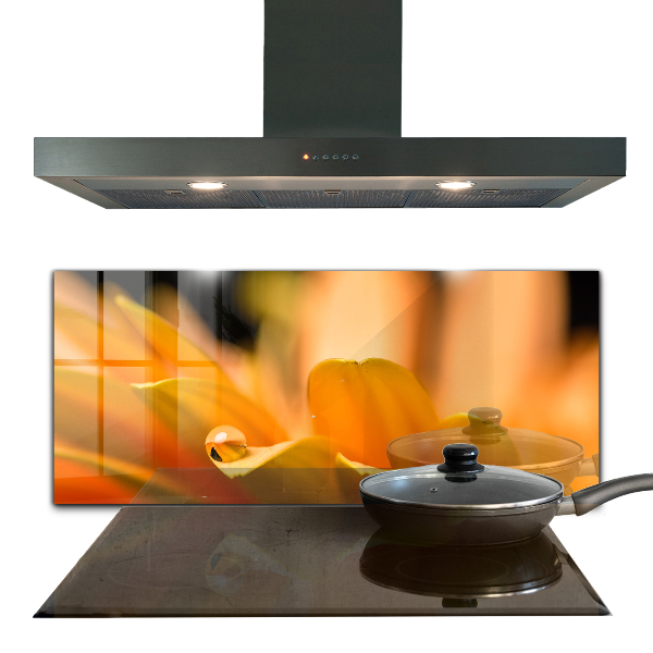 Küchenrückwand Spritzschutz Gerberblume