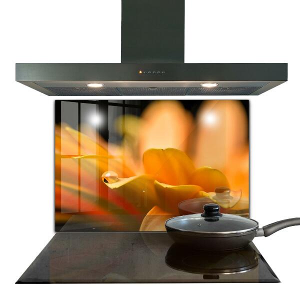 Küchenrückwand Spritzschutz Gerberblume