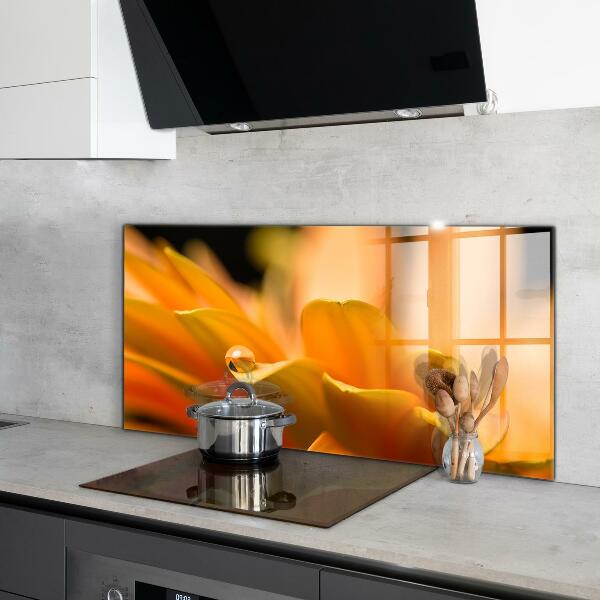Küchenrückwand Spritzschutz Gerberblume