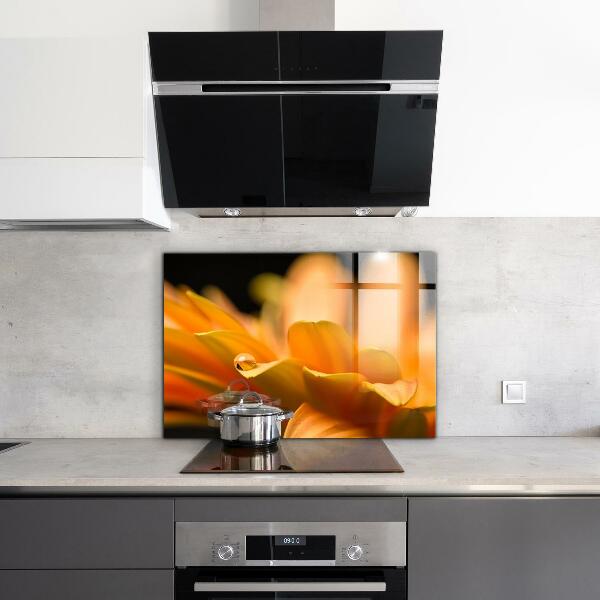 Küchenrückwand Spritzschutz Gerberblume