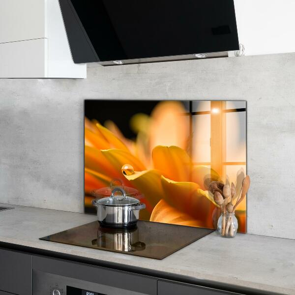 Küchenrückwand Spritzschutz Gerberblume