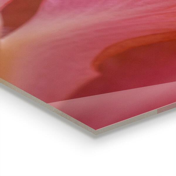 Küchenrückwand Spritzschutz Blütenpollen Natur