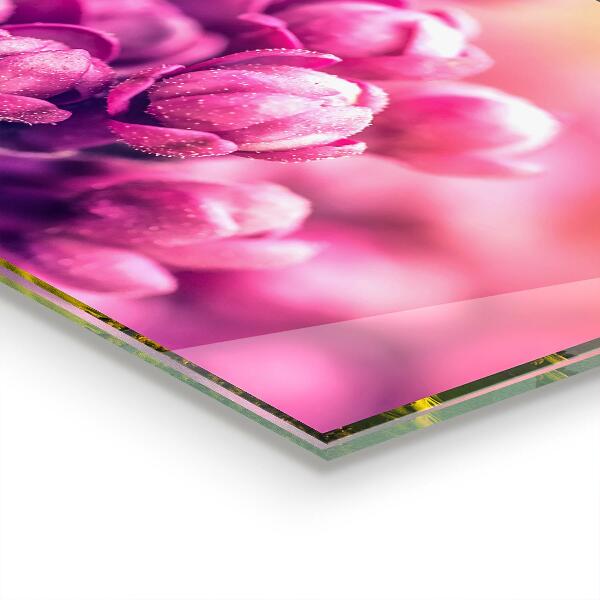 Küchenrückwand Spritzschutz Rosa Lilien natürliche Schönheit