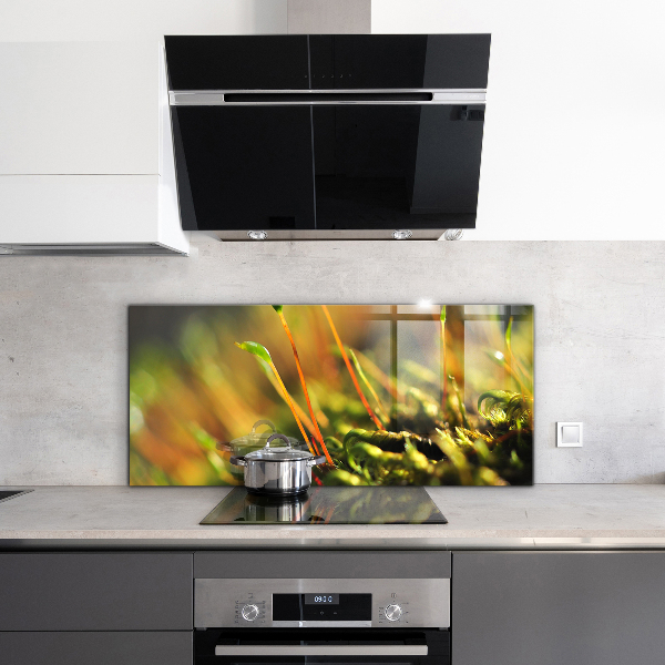 Küchenrückwand Spritzschutz Details zum Waldmoos