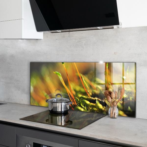 Küchenrückwand Spritzschutz Details zum Waldmoos