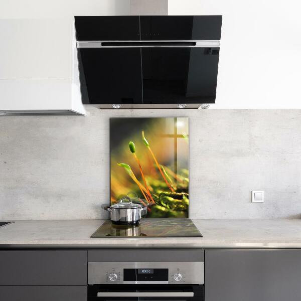 Küchenrückwand Spritzschutz Details zum Waldmoos