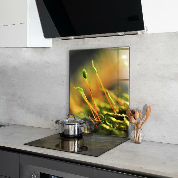 Küchenrückwand Spritzschutz Details zum Waldmoos