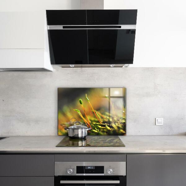 Küchenrückwand Spritzschutz Details zum Waldmoos