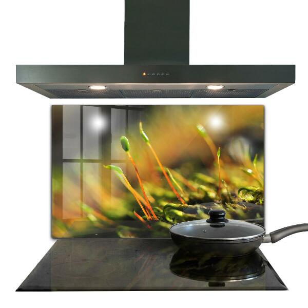 Küchenrückwand Spritzschutz Details zum Waldmoos