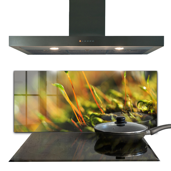 Küchenrückwand Spritzschutz Details zum Waldmoos