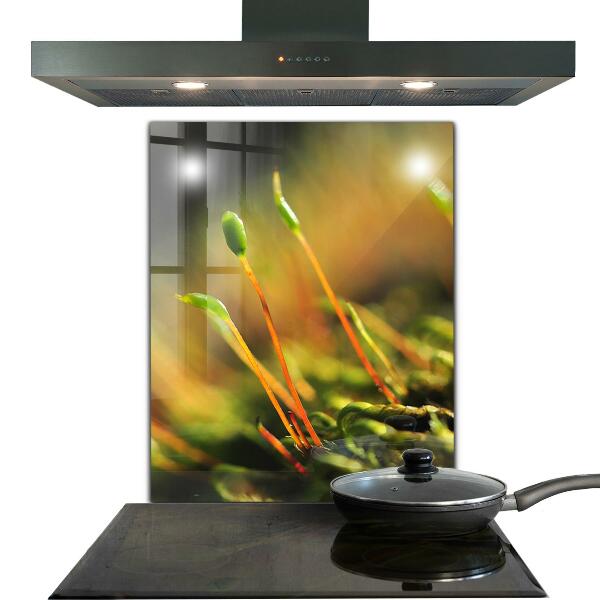 Küchenrückwand Spritzschutz Details zum Waldmoos