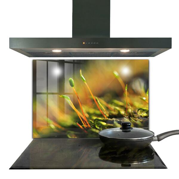 Küchenrückwand Spritzschutz Details zum Waldmoos