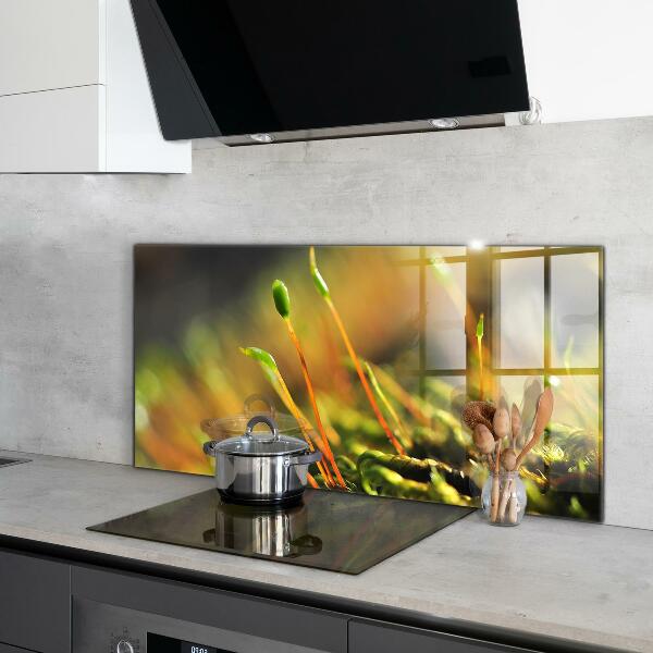 Küchenrückwand Spritzschutz Details zum Waldmoos