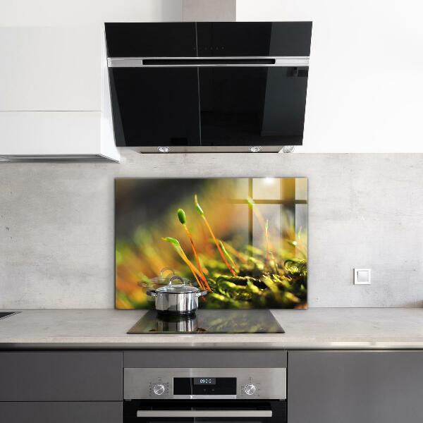 Küchenrückwand Spritzschutz Details zum Waldmoos