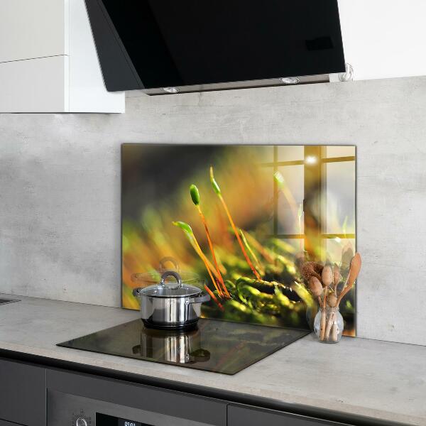 Küchenrückwand Spritzschutz Details zum Waldmoos