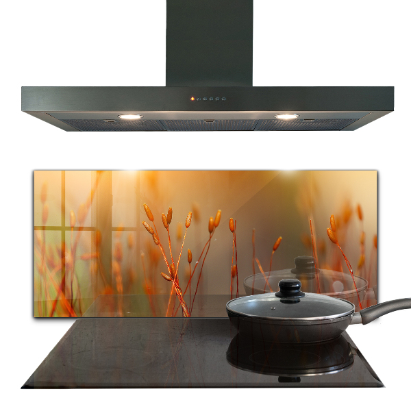 Küchenrückwand Spritzschutz Getreidefeld bei Sonnenuntergang