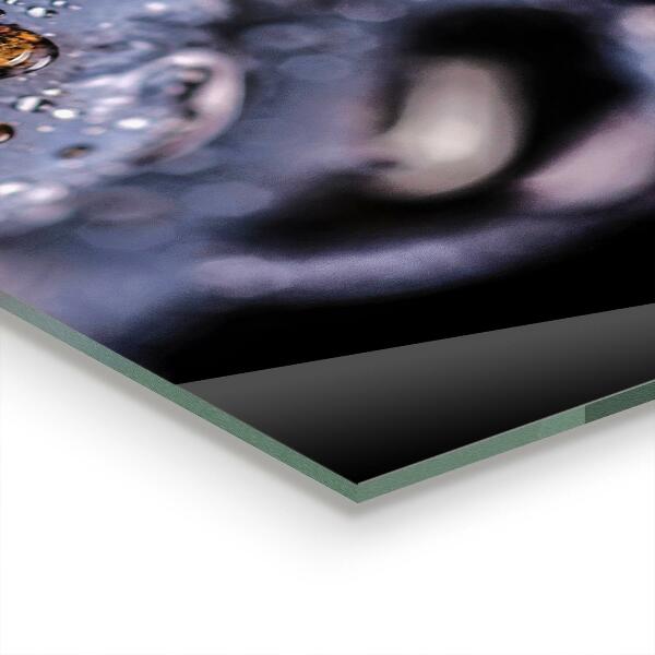 Küchenrückwand Spritzschutz Saftige Blaubeeren