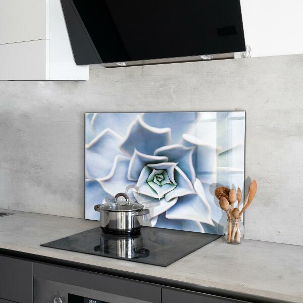 Küchenrückwand Spritzschutz Kaktus Sukkulente