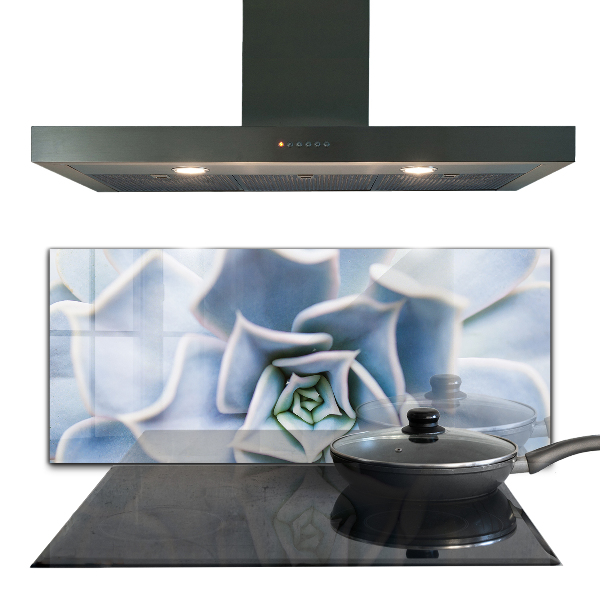 Küchenrückwand Spritzschutz Kaktus Sukkulente