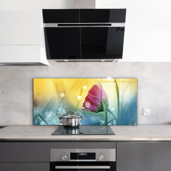 Küchenrückwand Spritzschutz Zartes Gänseblümchen auf der Wiese