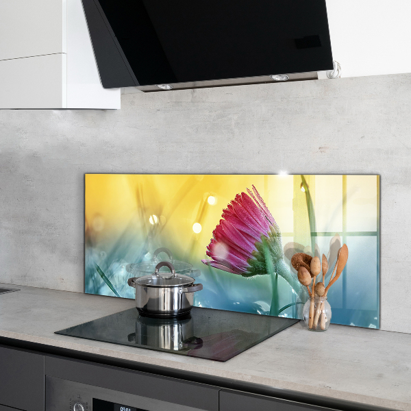 Küchenrückwand Spritzschutz Zartes Gänseblümchen auf der Wiese