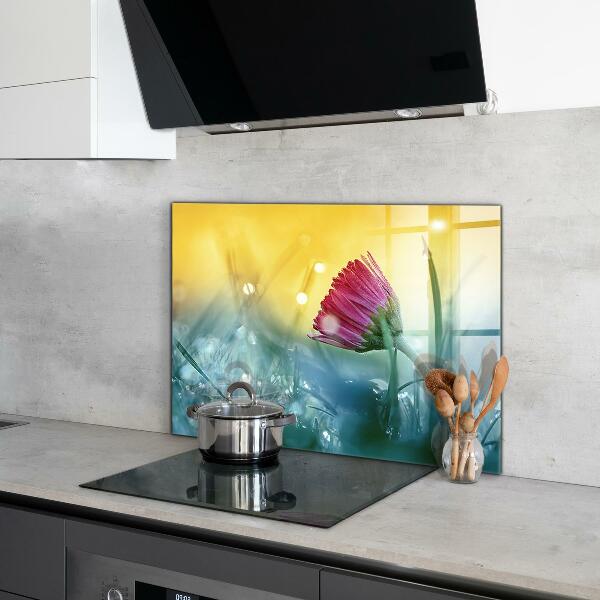 Küchenrückwand Spritzschutz Zartes Gänseblümchen auf der Wiese