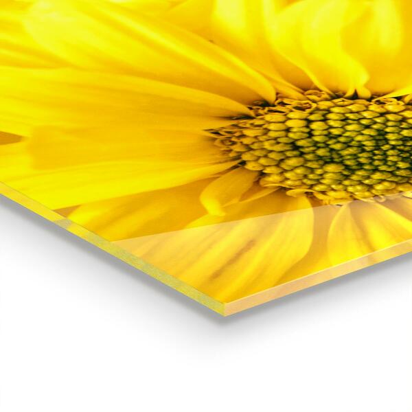 Küchenrückwand Fliesenspiegel Sommergelbe Blumen