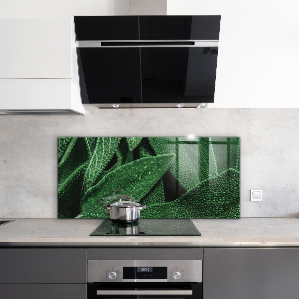 Küchenrückwand Fliesenspiegel Grüne Blätter nach Regen