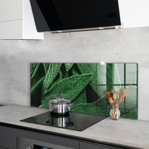 Küchenrückwand Fliesenspiegel Grüne Blätter nach Regen