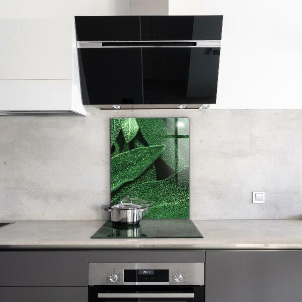 Küchenrückwand Fliesenspiegel Grüne Blätter nach Regen