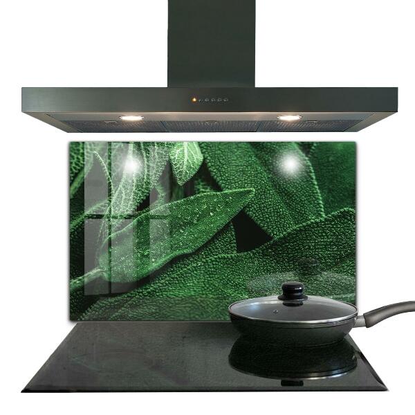 Küchenrückwand Fliesenspiegel Grüne Blätter nach Regen