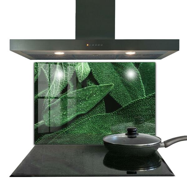 Küchenrückwand Fliesenspiegel Grüne Blätter nach Regen