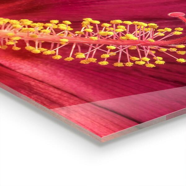 Küchenrückwand Fliesenspiegel Rosa Hibiskus