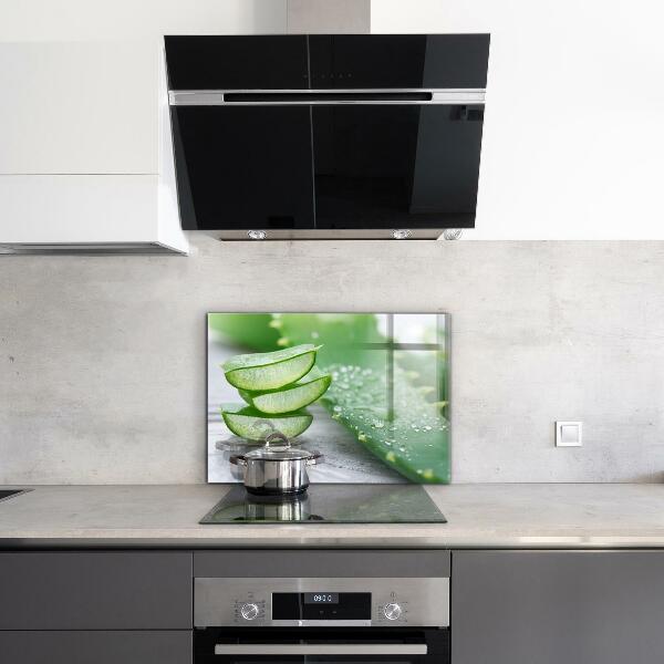 Küchenrückwand Fliesenspiegel Aloe Aloe Vera Pflanze