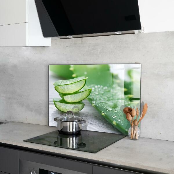 Küchenrückwand Fliesenspiegel Aloe Aloe Vera Pflanze