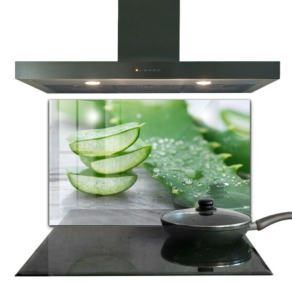 Küchenrückwand Fliesenspiegel Aloe Aloe Vera Pflanze