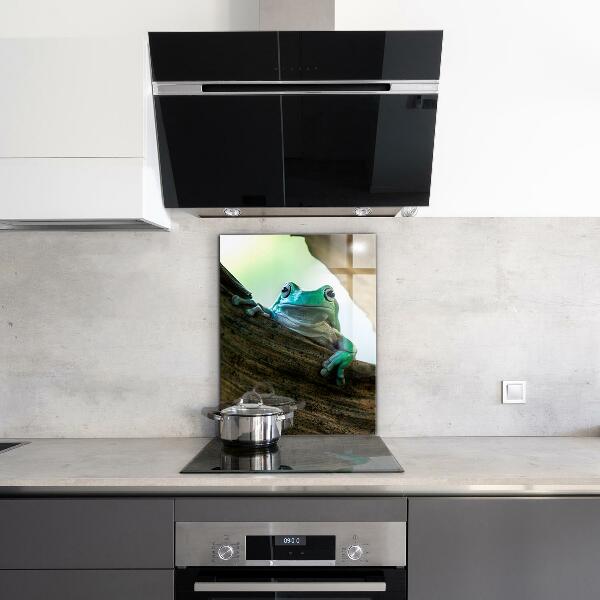 Küchenrückwand Spritzschutz Neugieriger Frosch auf einem Blatt