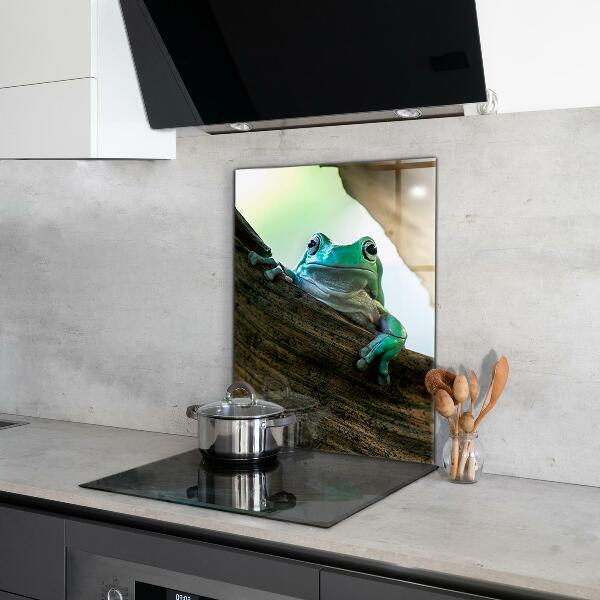 Küchenrückwand Spritzschutz Neugieriger Frosch auf einem Blatt