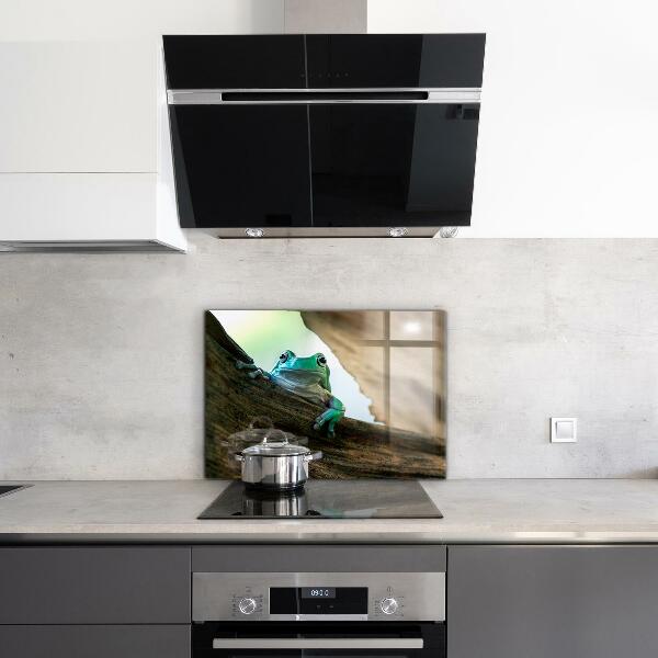 Küchenrückwand Spritzschutz Neugieriger Frosch auf einem Blatt