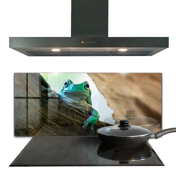 Küchenrückwand Spritzschutz Neugieriger Frosch auf einem Blatt