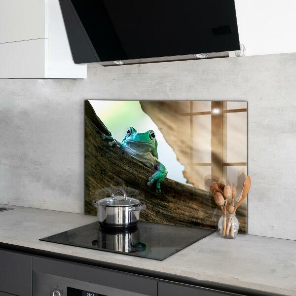 Küchenrückwand Spritzschutz Neugieriger Frosch auf einem Blatt