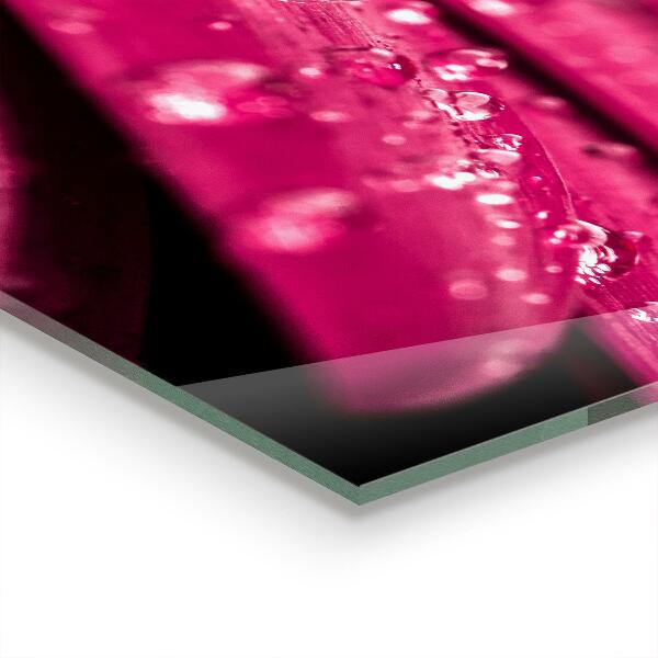 Küchenrückwand Fliesenspiegel Rosa Pflanzenblume