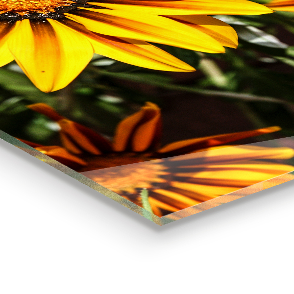 Küchenrückwand Fliesenspiegel Gelbe Blume auf der Wiese