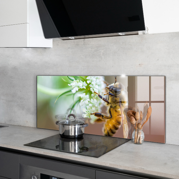 Küchenrückwand Spritzschutz Biene sammelt Pollen