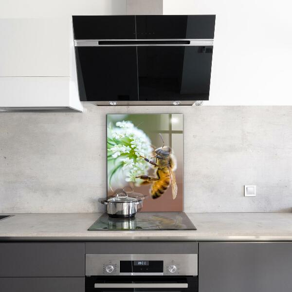 Küchenrückwand Spritzschutz Biene sammelt Pollen