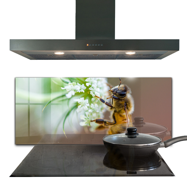 Küchenrückwand Spritzschutz Biene sammelt Pollen